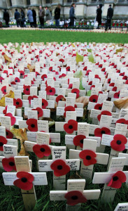 Fields Of Remembrance Poppies Ahead of Sunday's Service