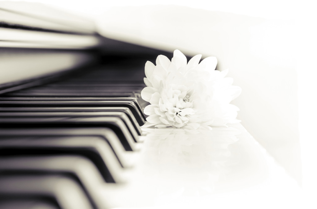 Close-up detail of piano keyboard and flower in monochrome